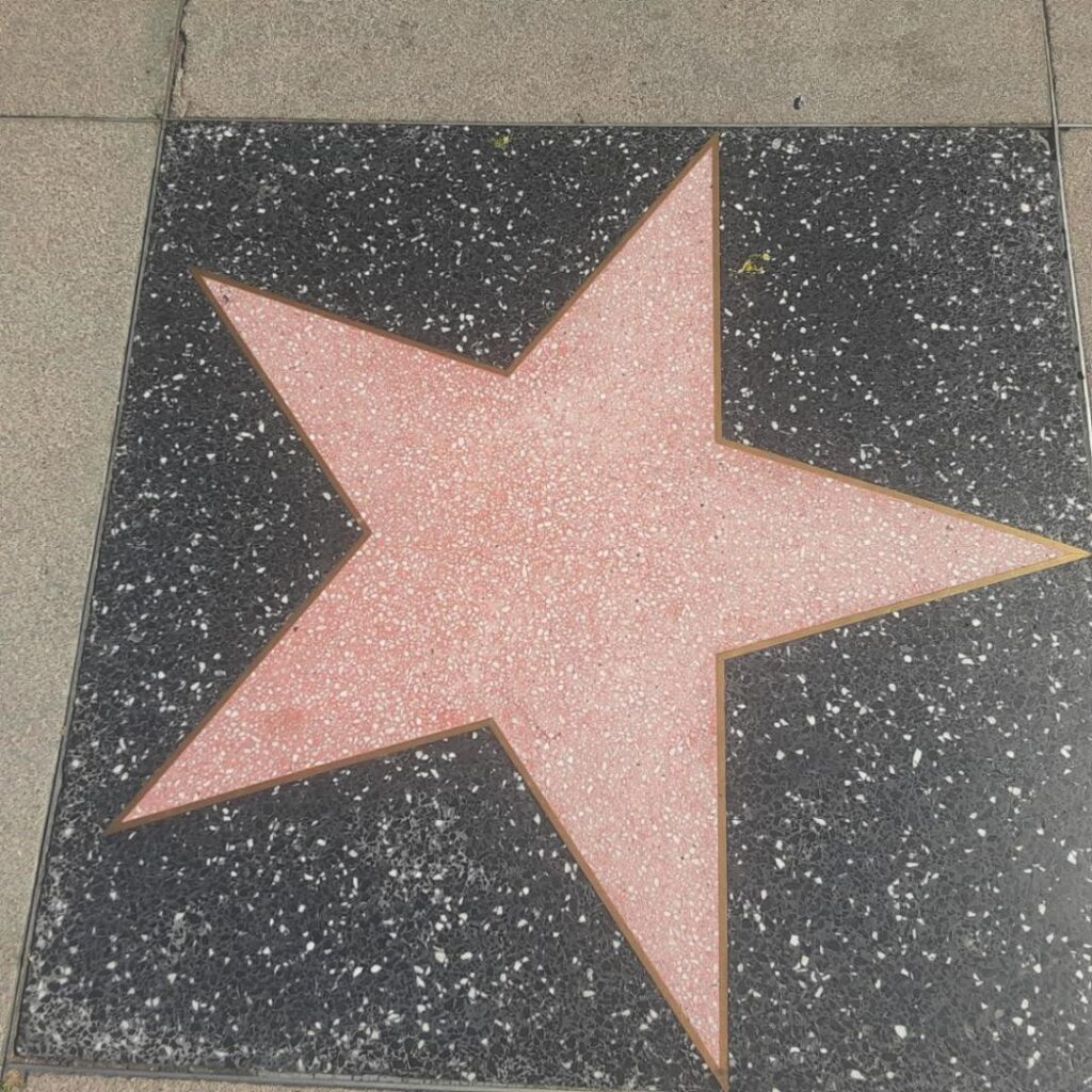 Blank Walk of Fame Star