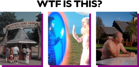 Picture12