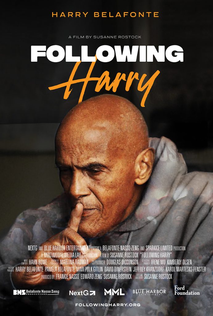 POSTER _ FOLLOWING HARRY (Credit_ Belafont-Nasso-Zeng Productions)